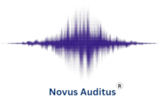 novusauditus.co.za